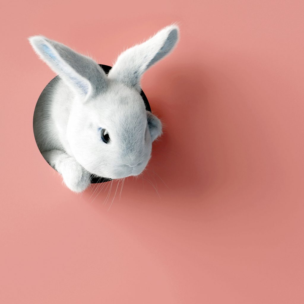 Ostern in der Tanzschule Santner