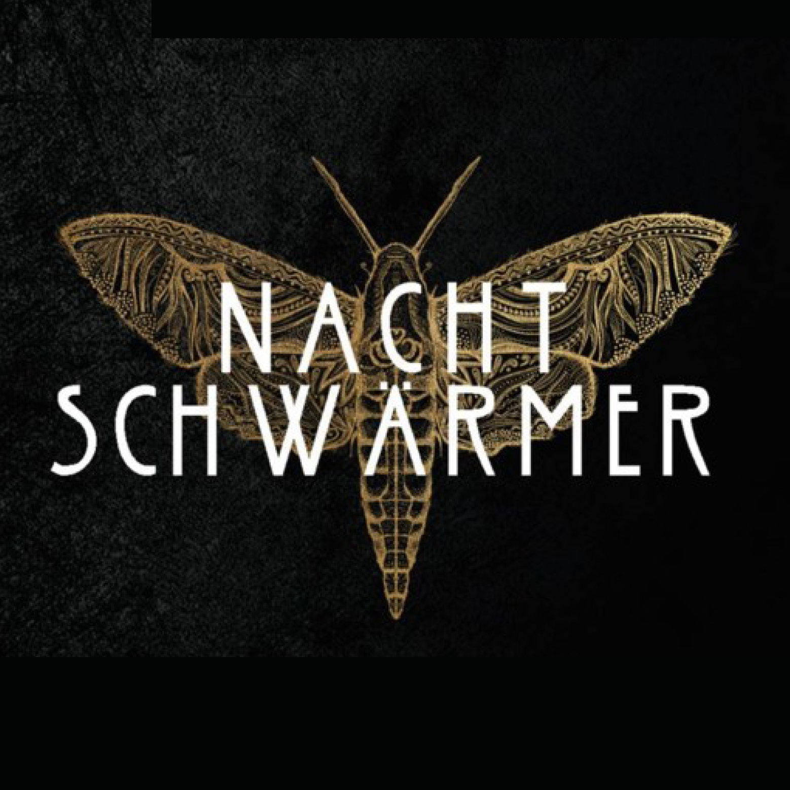 Nachtschwärmer - 100 Jahre ptArt